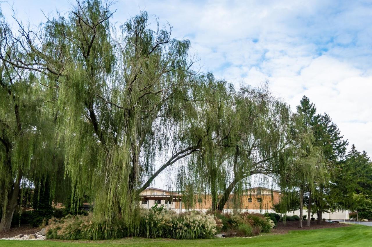 Turf Valley Resort Еликот Сити Екстериор снимка