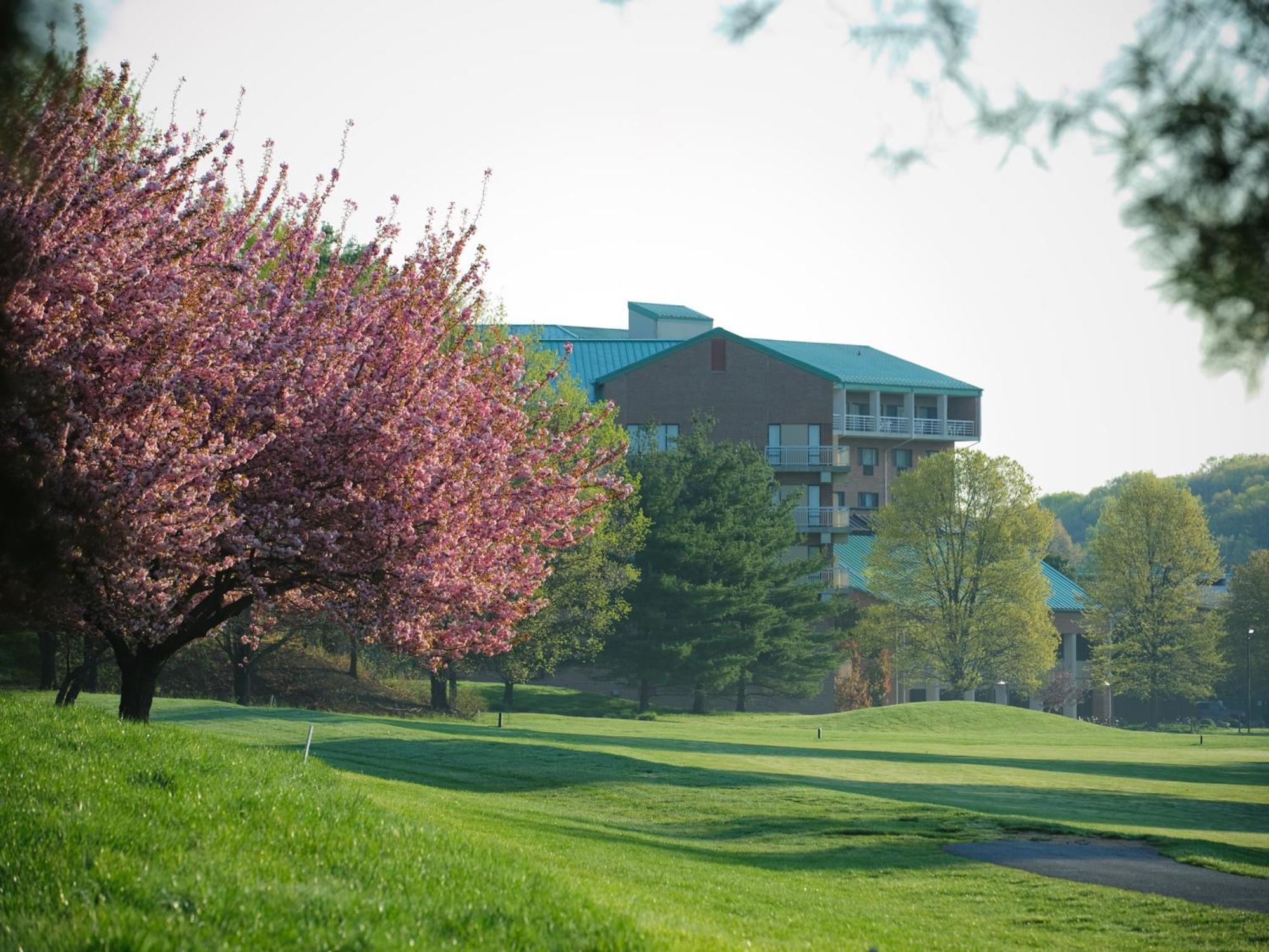 Turf Valley Resort Еликот Сити Екстериор снимка